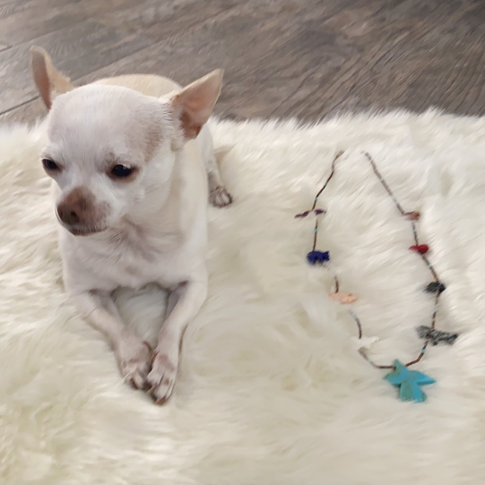 Animals Stone Necklace